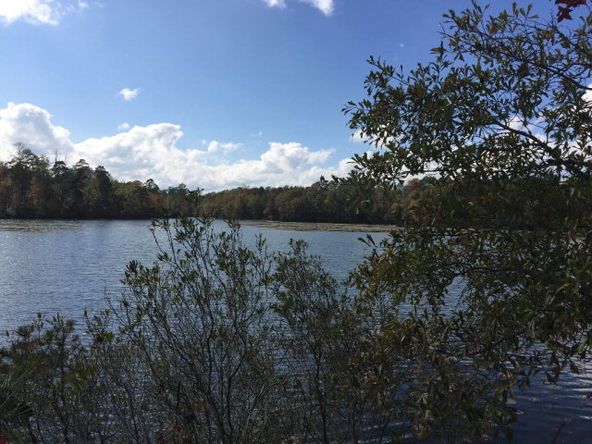 431 Us Hwy 431, Eufaula, AL 36027